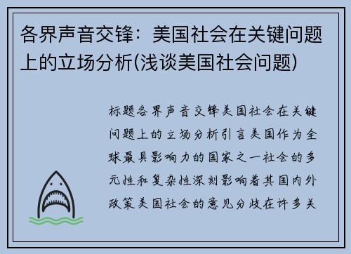 各界声音交锋：美国社会在关键问题上的立场分析(浅谈美国社会问题)