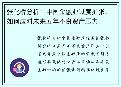 张化桥分析：中国金融业过度扩张，如何应对未来五年不良资产压力