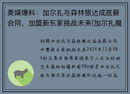 美媒爆料：加尔扎与森林狼达成底薪合同，加盟新东家挑战未来(加尔扎魔进战队)